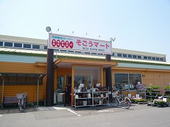 02128_20100504_02.jpg
