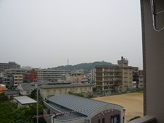 04015_20080611_12.jpg