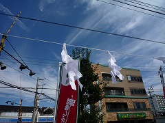 05815_20111004_02.jpg