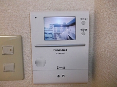2013_0123_4081_11.jpg