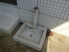 50375_20091228_40.jpg.jpg
