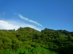 P1100672.jpg