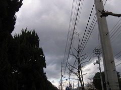 03720_20061228_01.jpg
