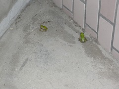 04025_20070918_01.jpg