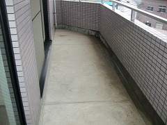 02082_20080622_35.jpg