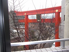 02082_20100209_CIMG2632.jpg