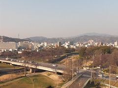 02656_20110330CIMG5002.jpg