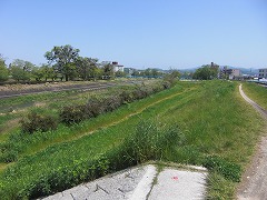 02895_20100428_18.jpg.jpg