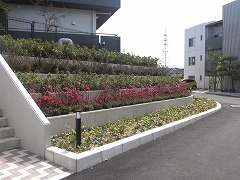 05799_20100415_CIMG2861.jpg
