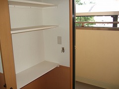 05166_20090319_16.jpg