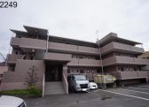 セレッソ赤坂