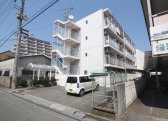ハイジュネス