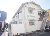 エーデルワイス
