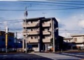 HAMASHO PRIMO