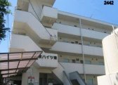 仙波ハイツ南棟