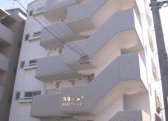 M&P HOUSE