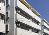 カミーリア愛光