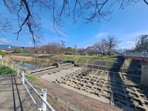 石手川緑地公園（中村橋側）