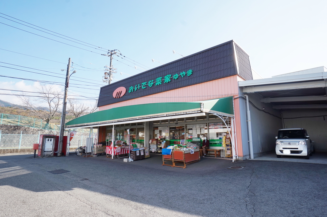 くすりのレデイ 道後石手店