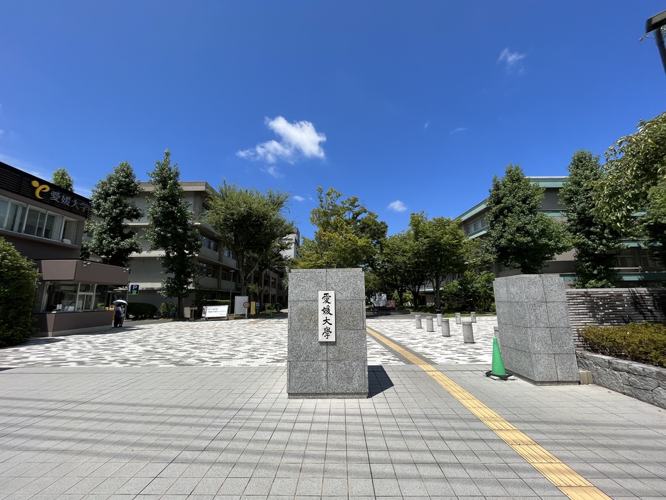 松山大学