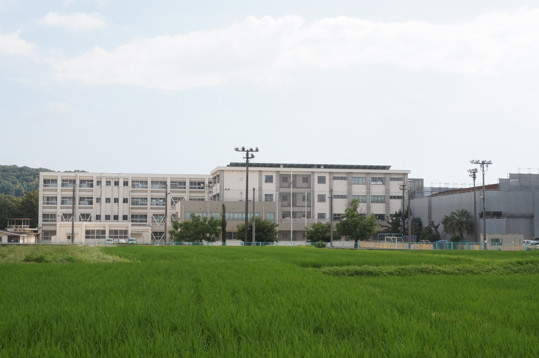 松山市立河野小学校