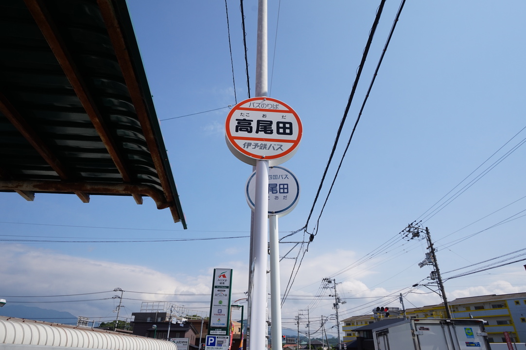 高尾田