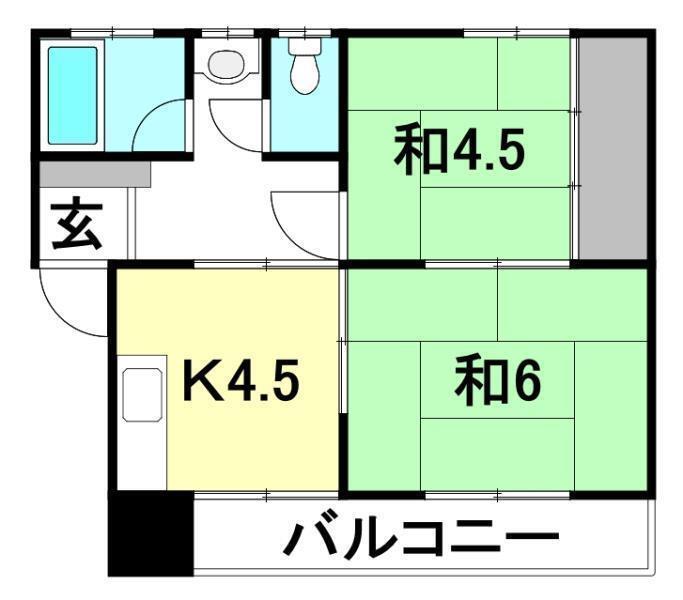 グレイスハナミズキ