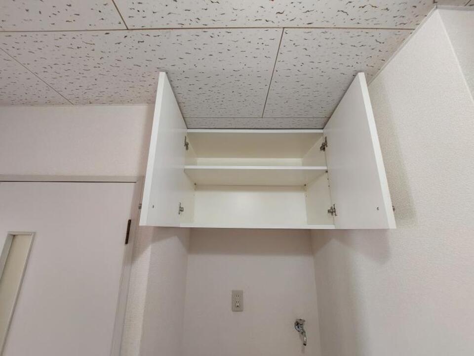 棚