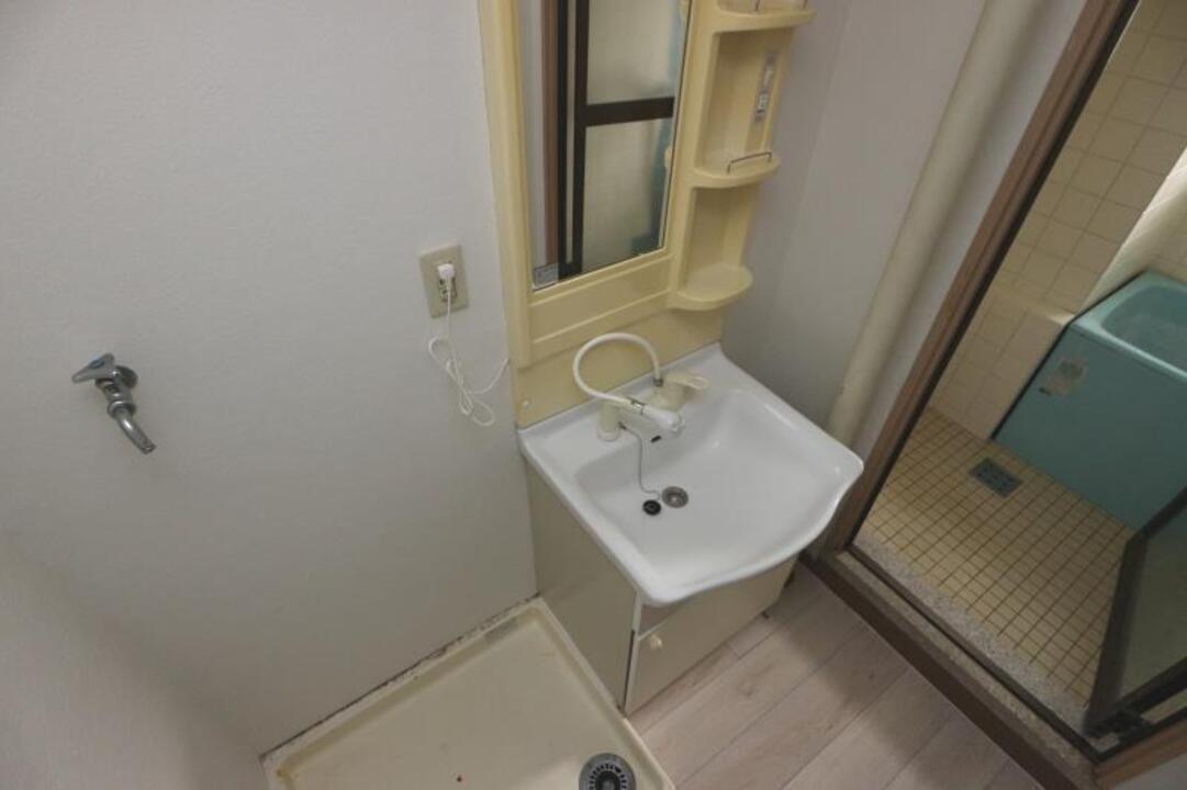 シャンプードレッサー