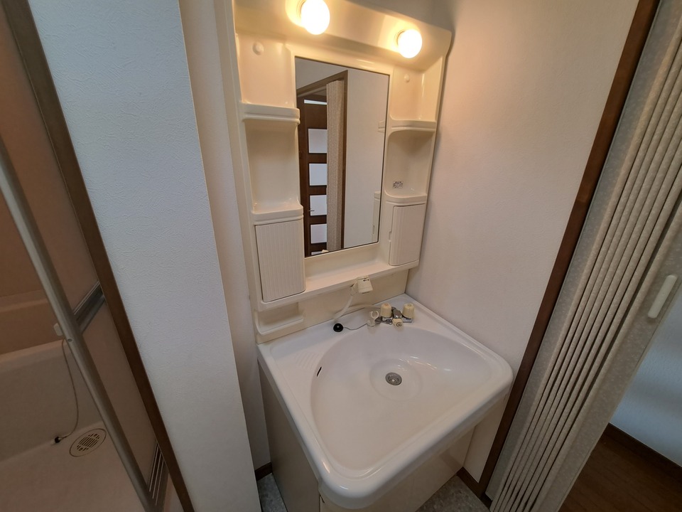 シャンプードレッサー