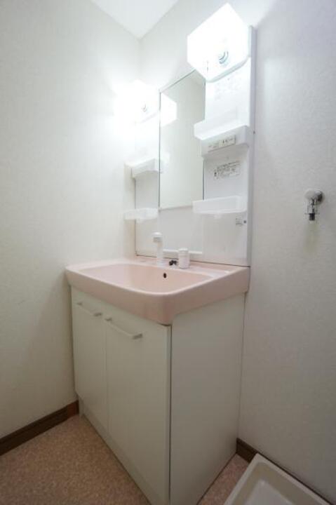 シャンプードレッサー