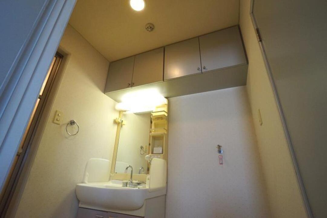棚
