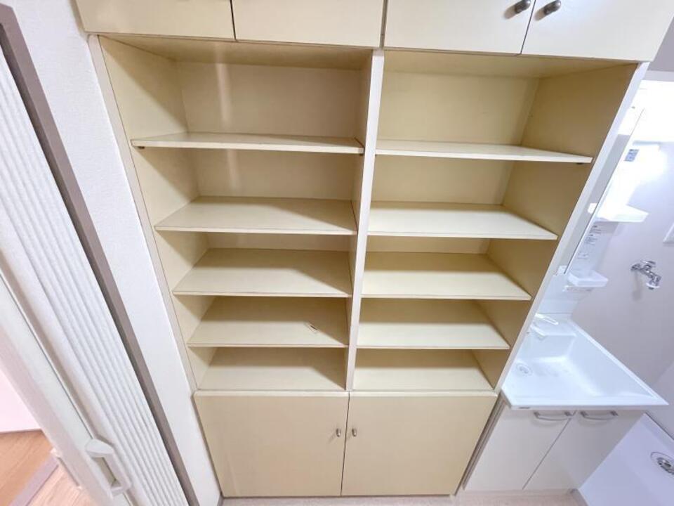 棚