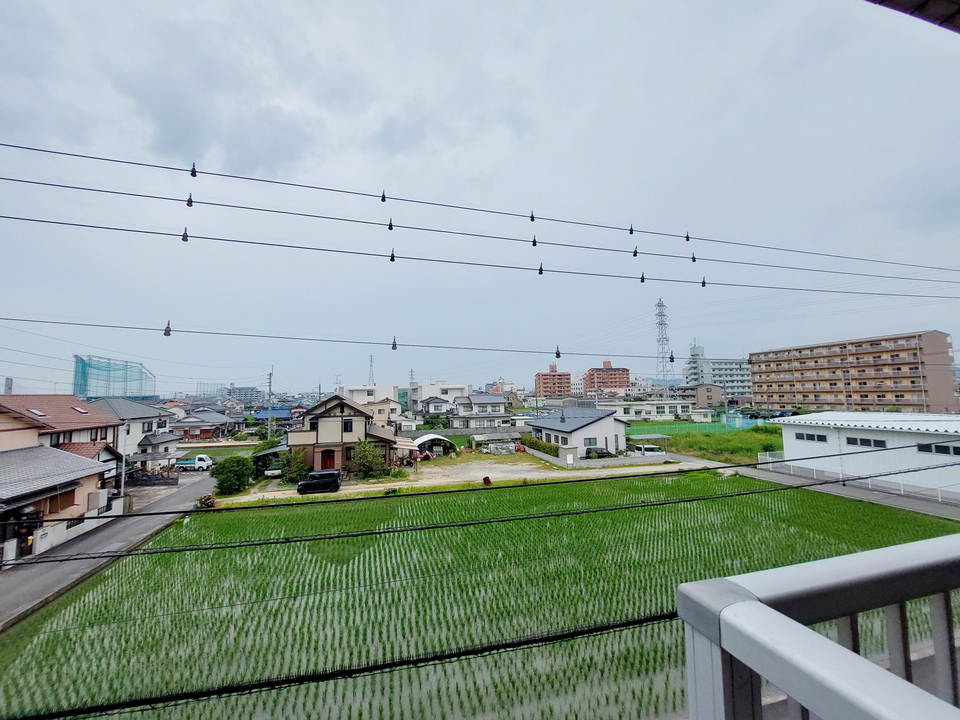 背景