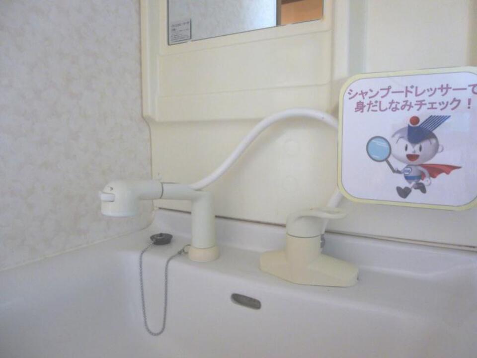 シャンプードレッサー