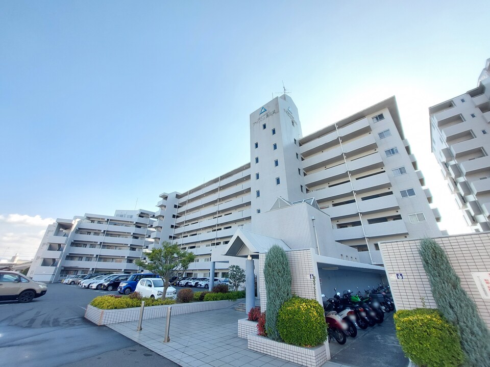 アプローチ