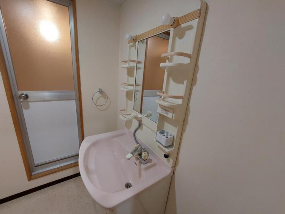 シャンプードレッサー