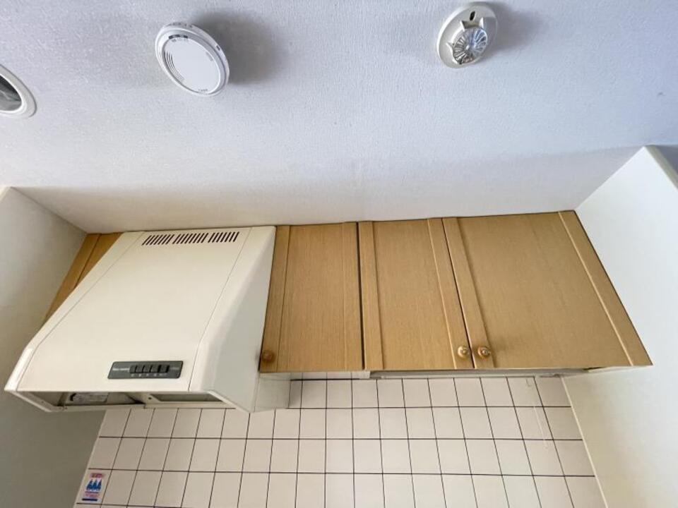 棚