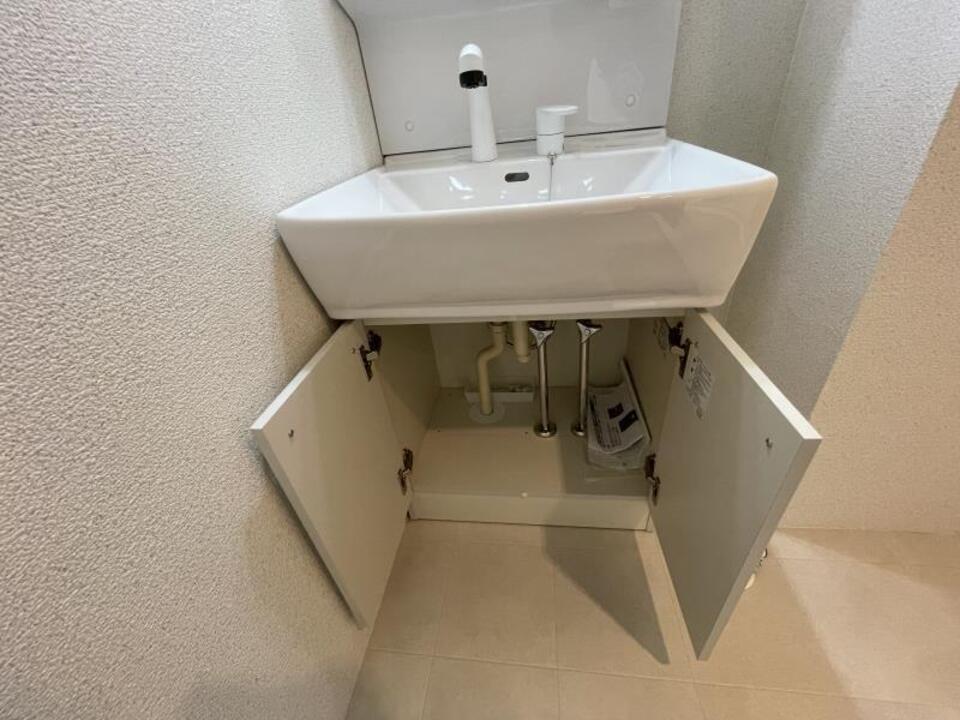 シャンプードレッサー