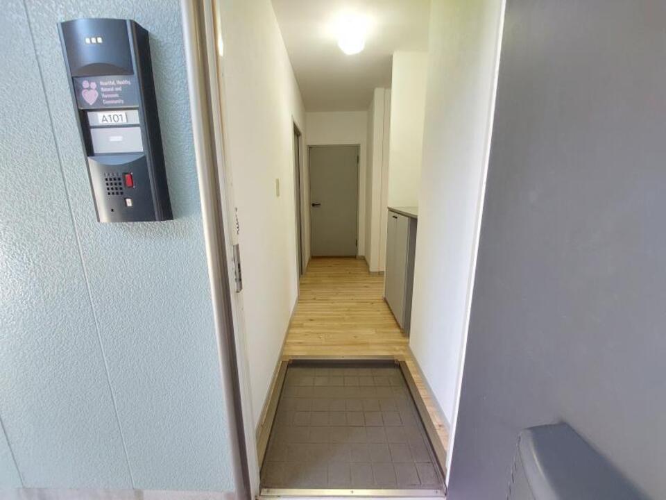 シャンプードレッサー