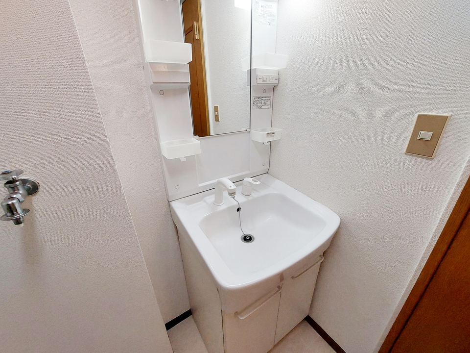 シャンプードレッサー