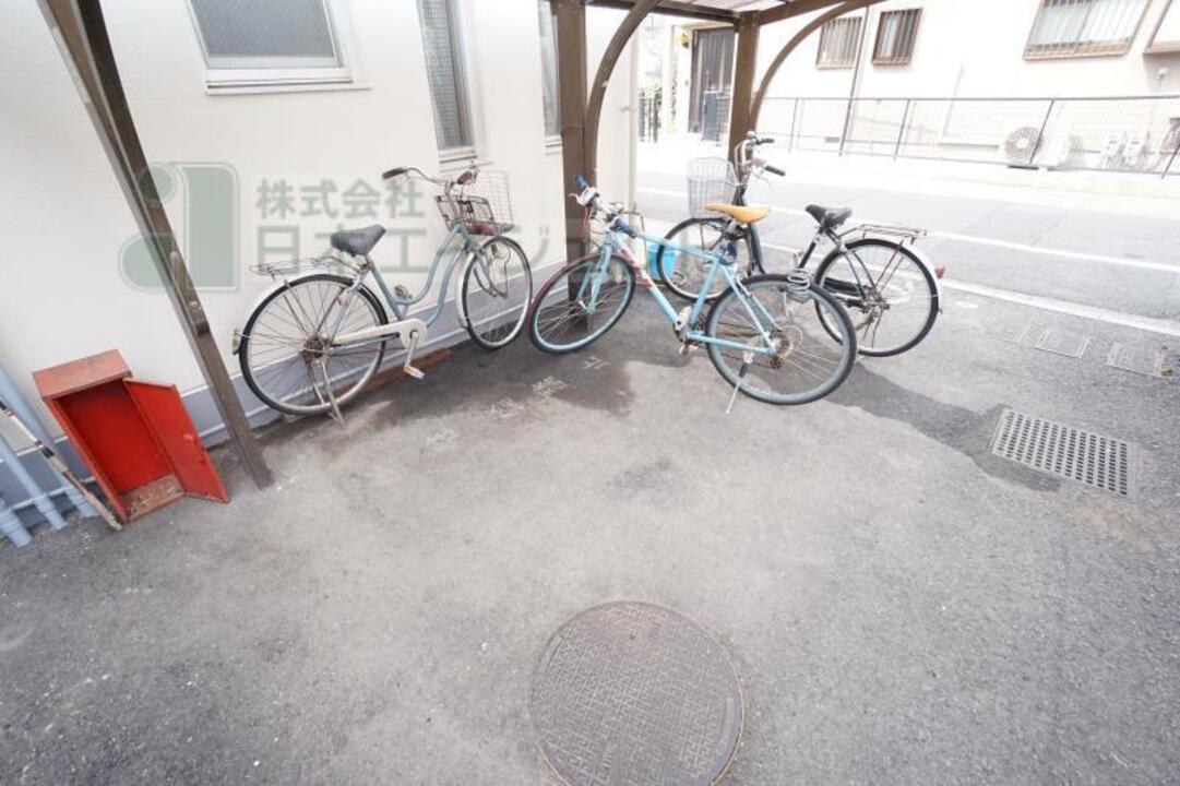 シャンプードレッサー