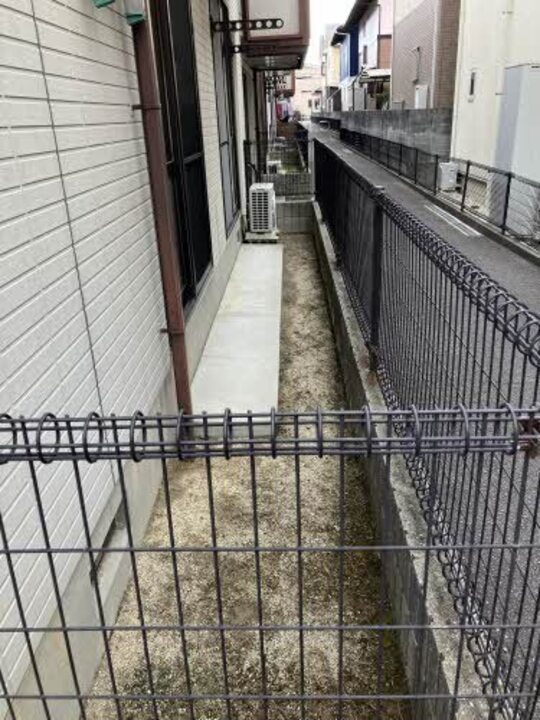 庭