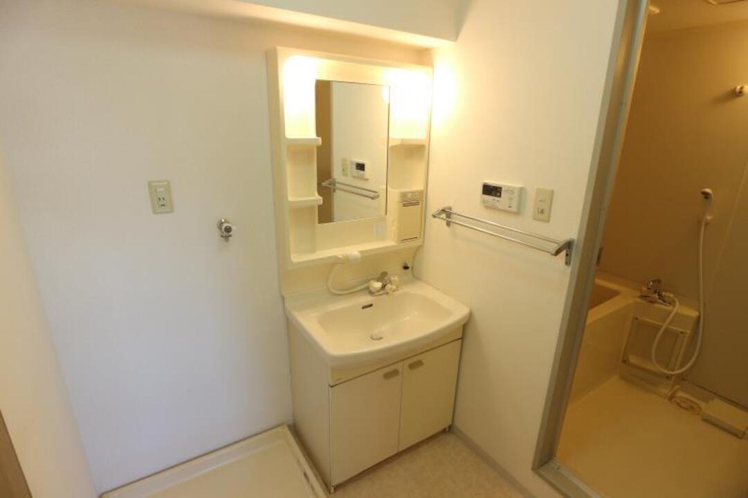 シャンプードレッサー