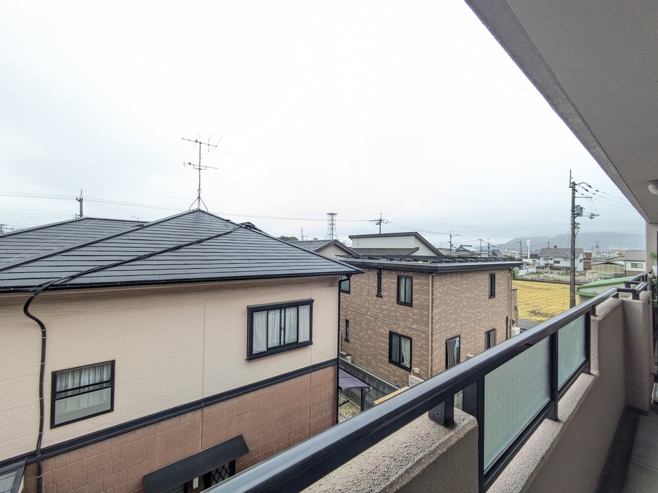 背景