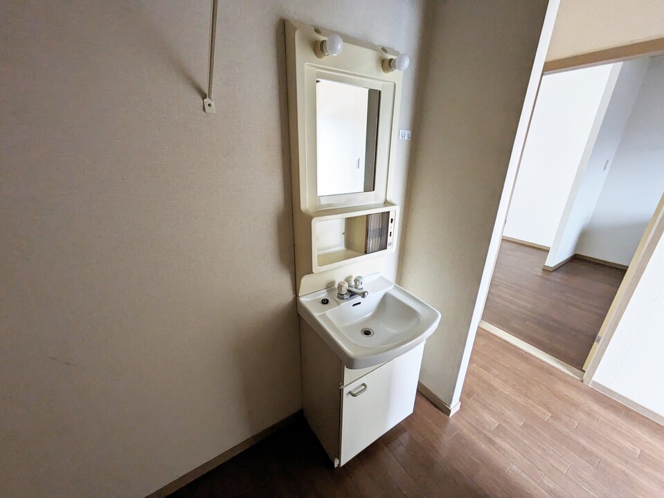 シャンプードレッサー