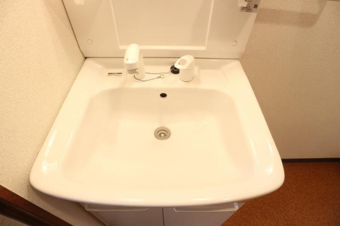 シャンプードレッサー