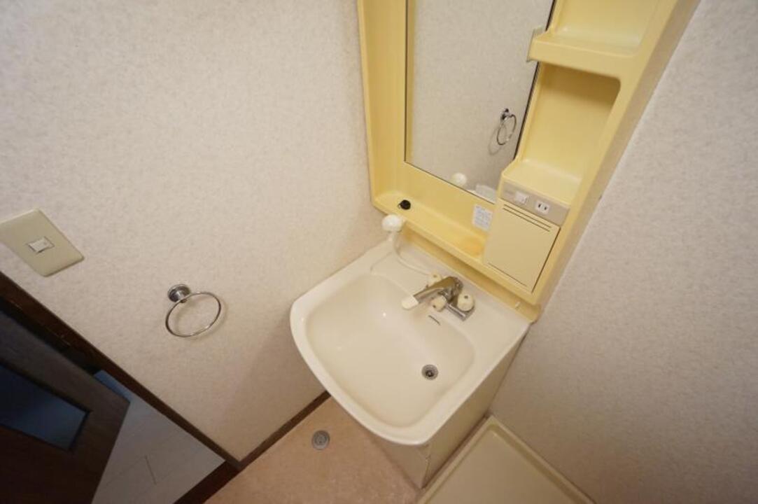 シャンプードレッサー