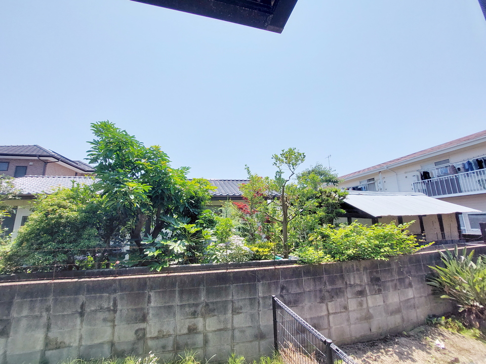 背景