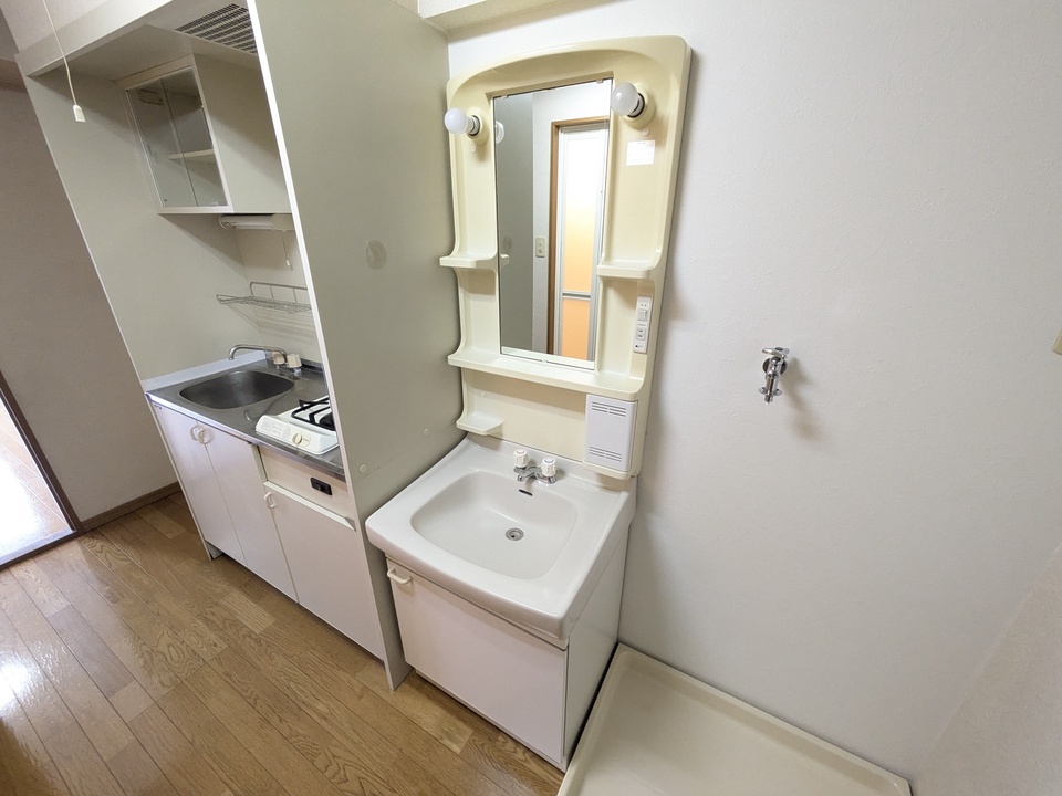 シャンプードレッサー